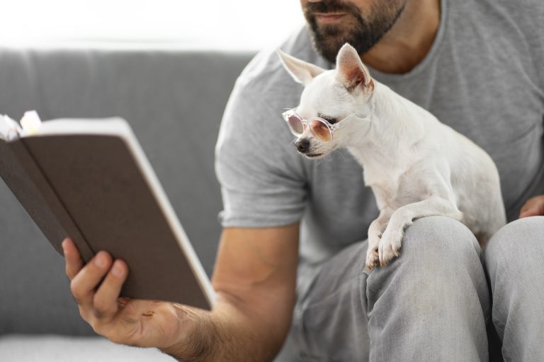 Choose The Right Tech Gadgets For Your Pet