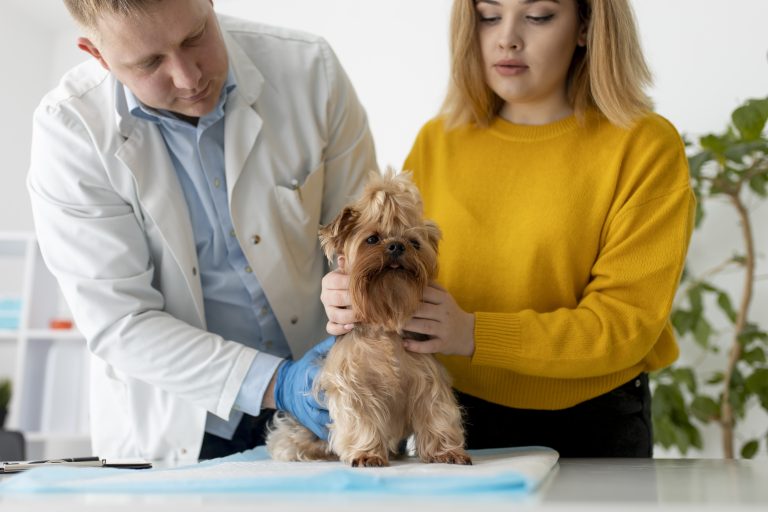 Essential Check-Ups for National Pet Wellness Month