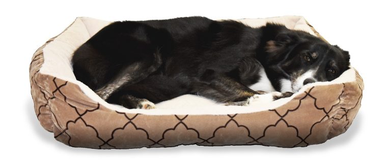 Dog Beds EzPz