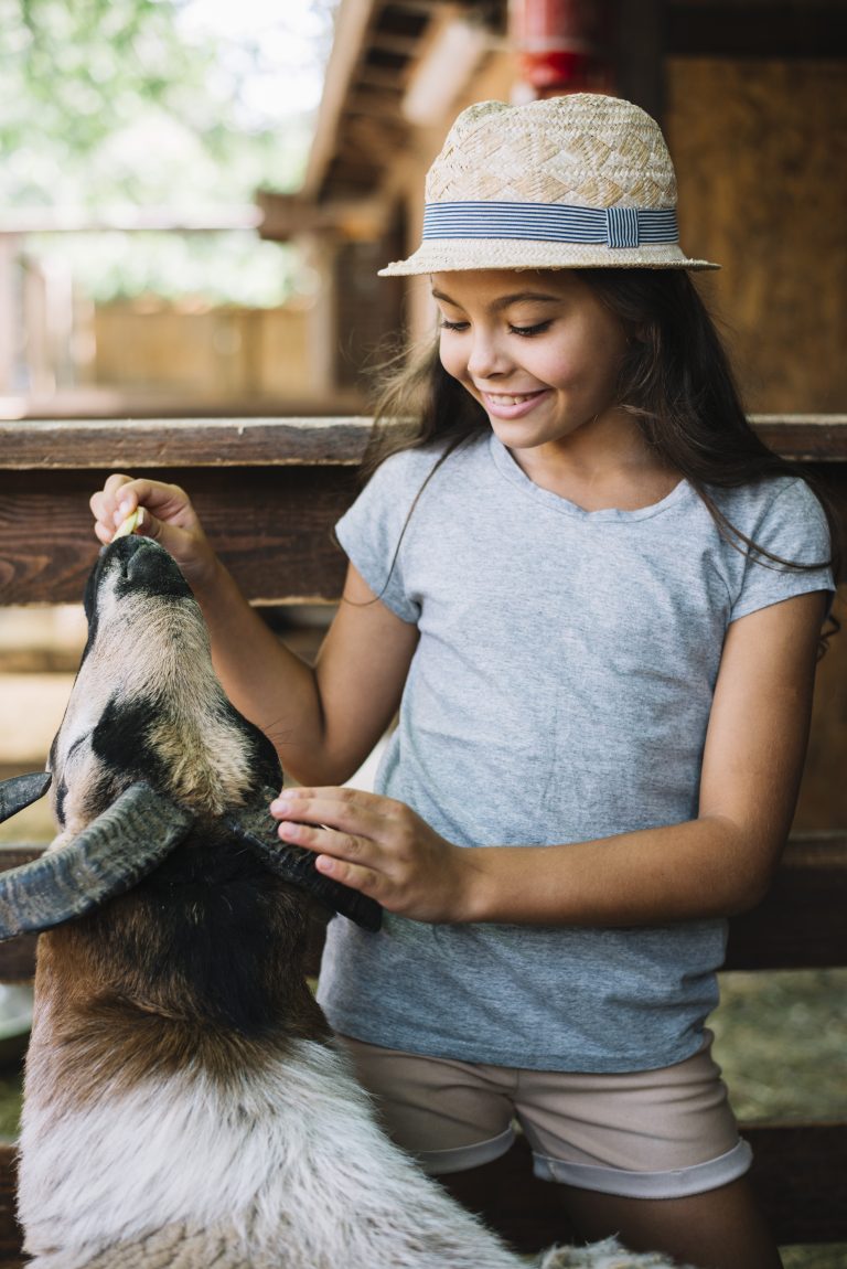 Exploring The Sacred Bond: The Role Of Pets In Native American Cultures