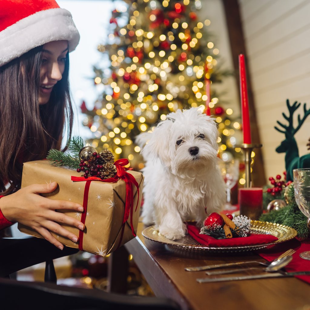 Gift Ideas For Pet Lovers