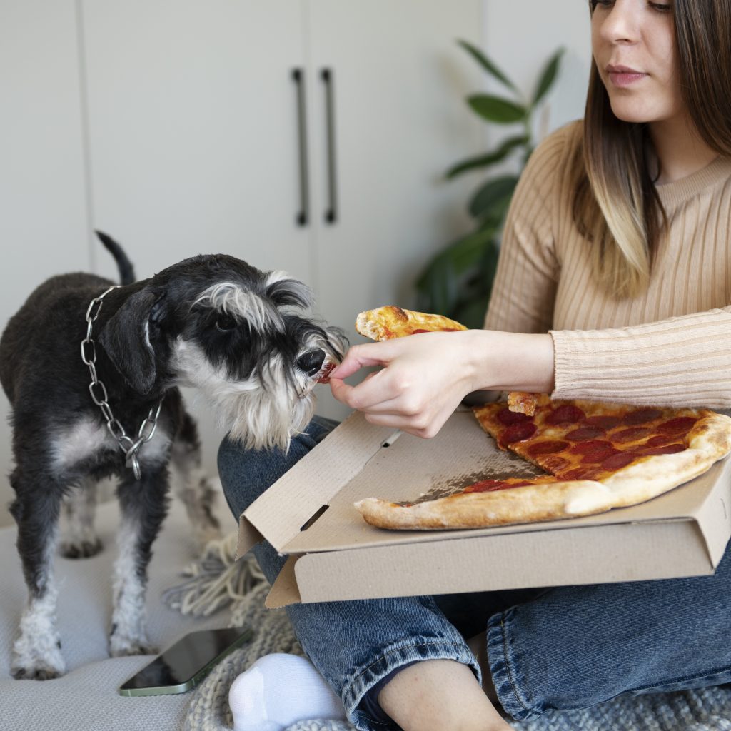 How To Prevent Your Pet From Getting Into The Trash On Thanksgiving