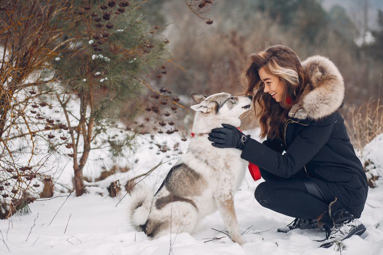 3 Top Dog-Friendly Winter Destinations For A Memorable Getaway