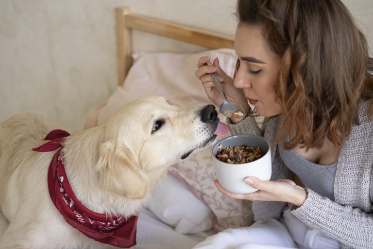 Nutrient-Rich Winter Foods for Your Dog