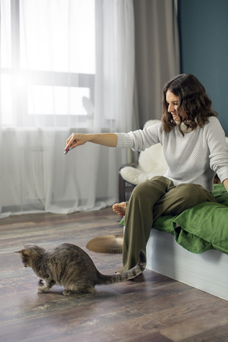 Indoor Air Quality Tips for Keeping Your Cat Healthy in Winter